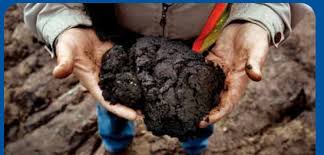 Manufacturers Exporters and Wholesale Suppliers of Petroleum sludge Dammam Eastern Province